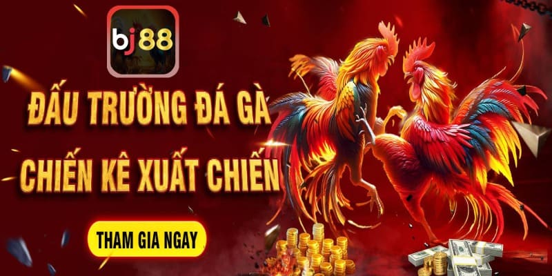 Tổng quan về Nhà Cái BJ88